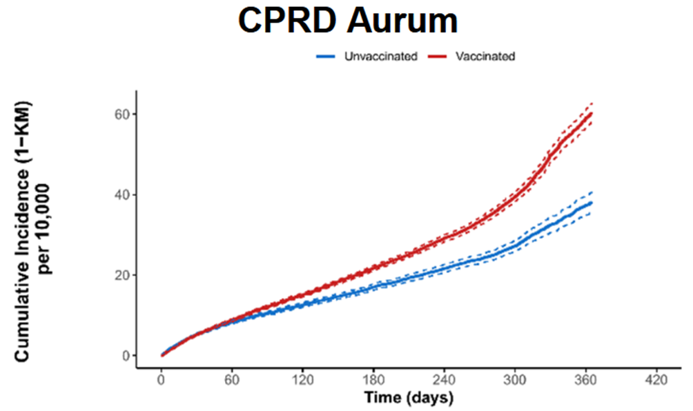 新的泄露的辉瑞报告显示，接种疫苗的人的心脏正在“迅速衰变”