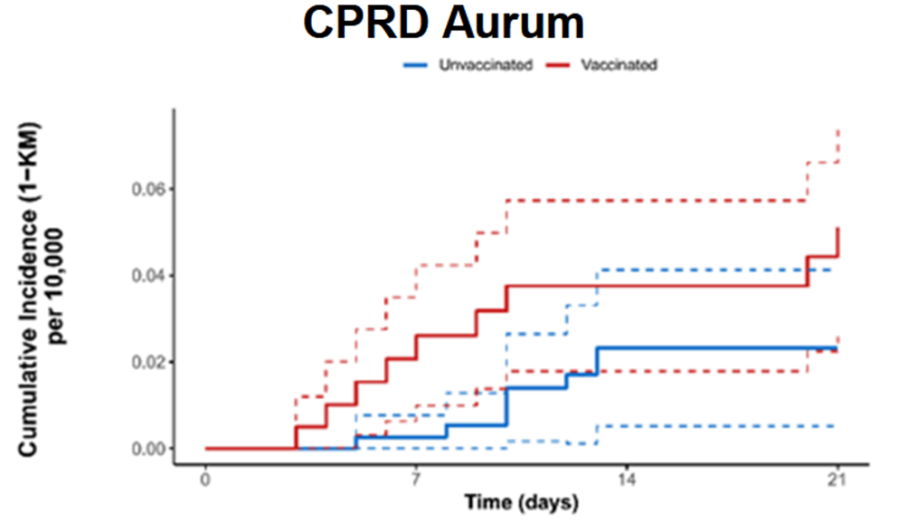 新的泄露的辉瑞报告显示，接种疫苗的人的心脏正在“迅速衰变”
